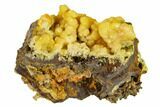 Yellow-Orange Vanadinite Aggregation - Mibladen, Morocco #133891-1